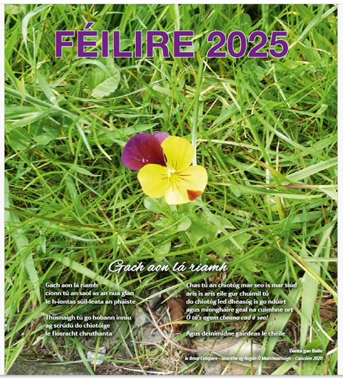 Féilire 2025