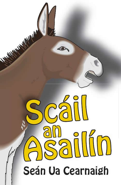 Scáil an Asailín Seán Ua Cearnaigh Leabhar Gaeilge do dhéagóirí Irish book for teenagers